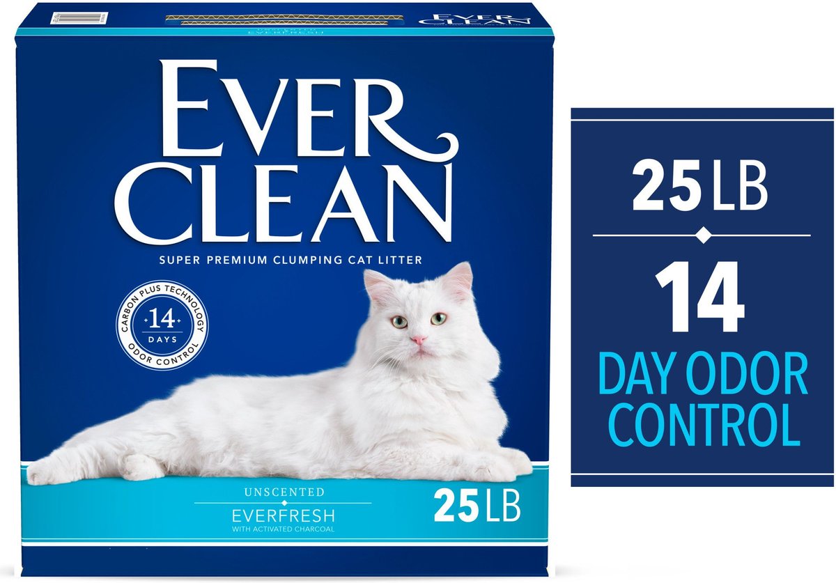 Cedarific cat litter chewy sale