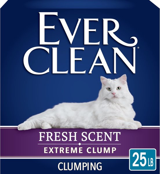 Ever Clean Lightly Scented Clumping Clay Cat Litter, 25-lb box slide 1 of 7