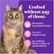Show in main carousel: Halo Salmon Adult Grain-Free Soft Pate in Broth Wet Cat Food, 3-oz can, case of 12 slide 7 of 11
