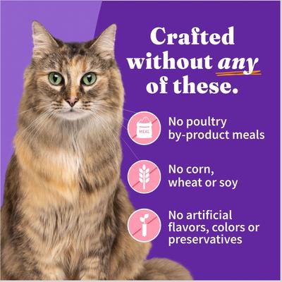 Show full view: Halo Salmon Adult Grain-Free Soft Pate in Broth Wet Cat Food, 3-oz can, case of 12 slide 7 of 11