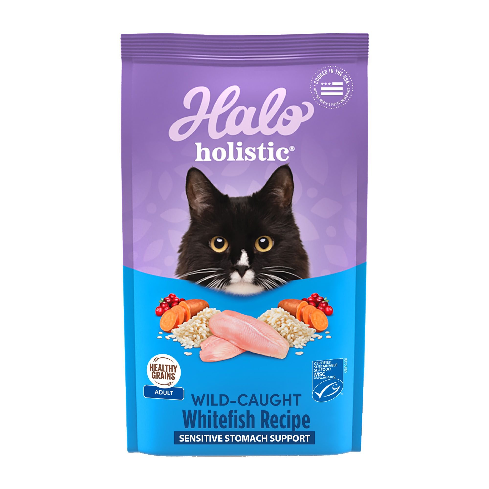 Holistic cat 2025 food reviews