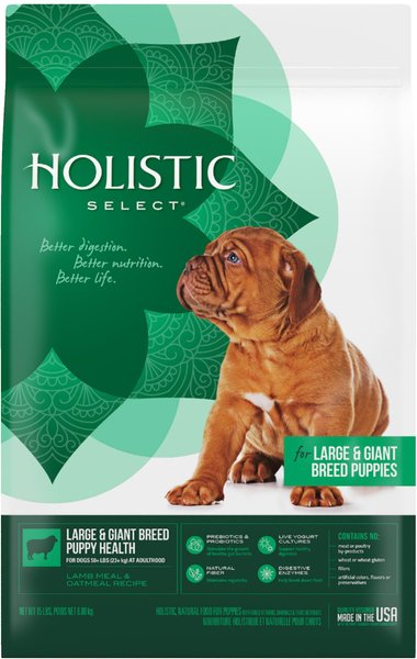 HOLISTIC SELECT Large & Giant Breed Puppy Health Lamb Meal & Oatmeal ...