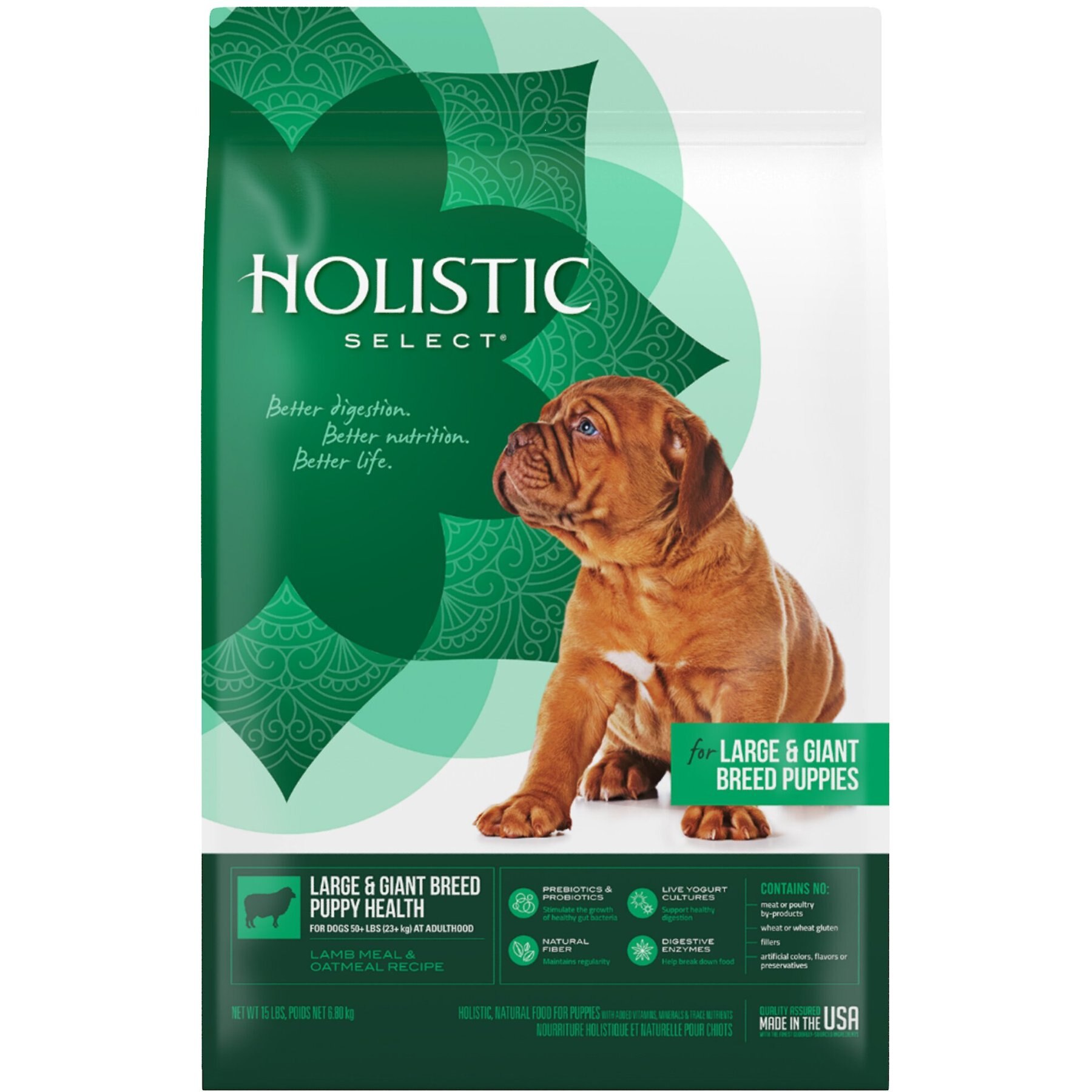 Holistic Select Large & Giant Breed Puppy Lamb & Chicken Meals Natural Grain-Free Dry Dog Food