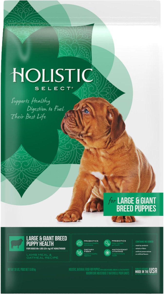 Precise holistic large 2025 breed dog food