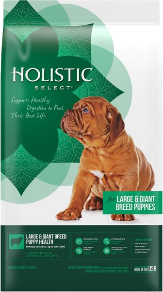 Holistic Select Large & Giant Breed Puppy Health Lamb Meal & Oatmeal Recipe Dry Dog Food, 30-lb bag slide 1 of 10