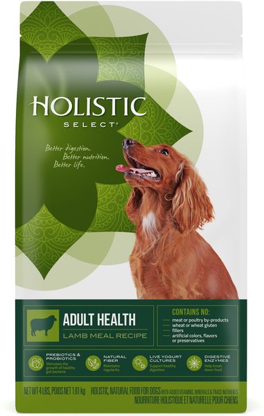 Holistic Select Adult Health Lamb Meal Recipe Dry Dog Food