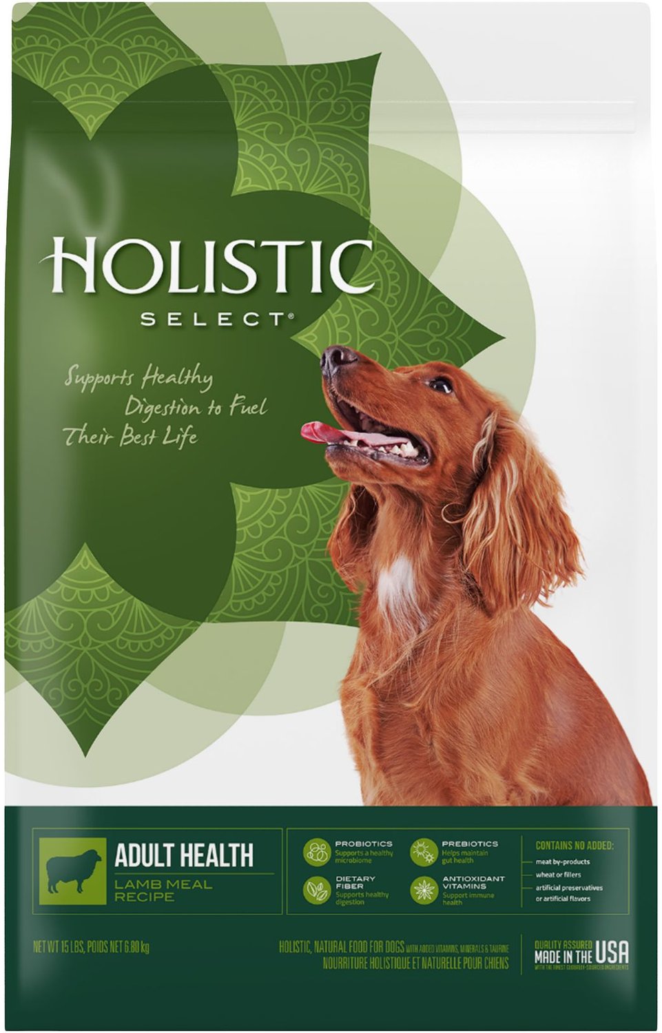 chewy holistic dog food