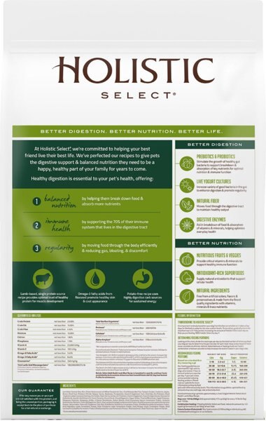 Holistic Select Holistix with Whitefish, Cranberries, Apples & Blueberries Biscuits Dog Treats