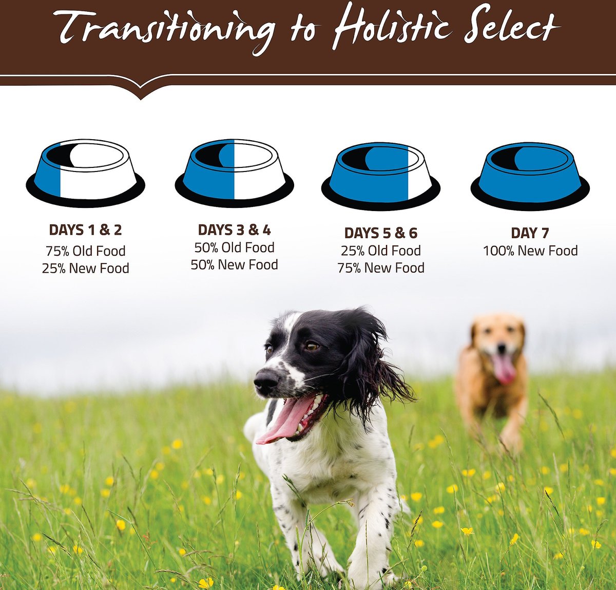 Holistic select outlet large breed