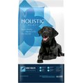 Holistic Select Adult Health Anchovy, Sardine & Salmon Meals Recipe Dry Dog Food, 30-lb bag