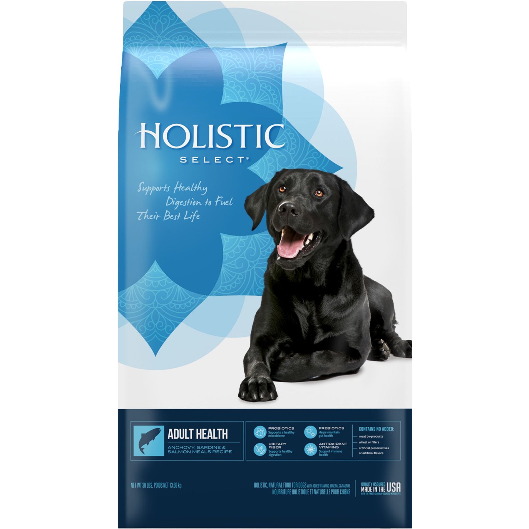 Holistic select senior dog food sale