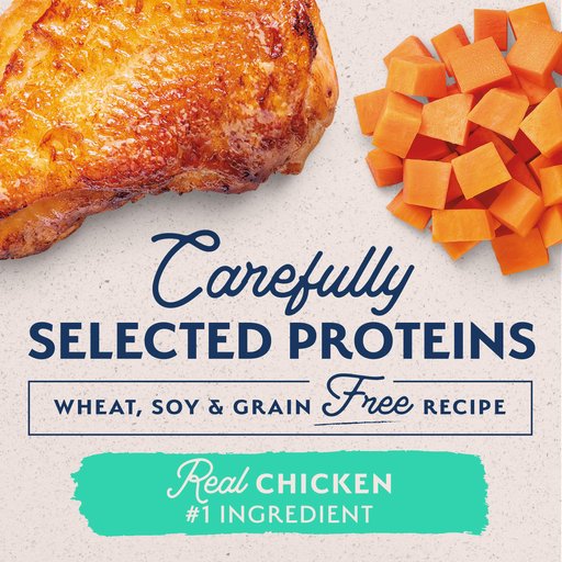 10 Best Limited Ingredient Wet Dog Foods 2023 According to Reviews Chewy