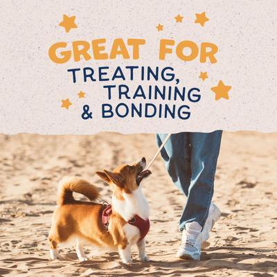 Show full view: Natural Balance Rewards Small Breed Duck Flavored Crunchy Biscuit Dog Treats, 8-oz bag slide 9 of 10