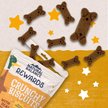 Natural Balance Rewards Crunchy Biscuits with Real Beef Dog Treats