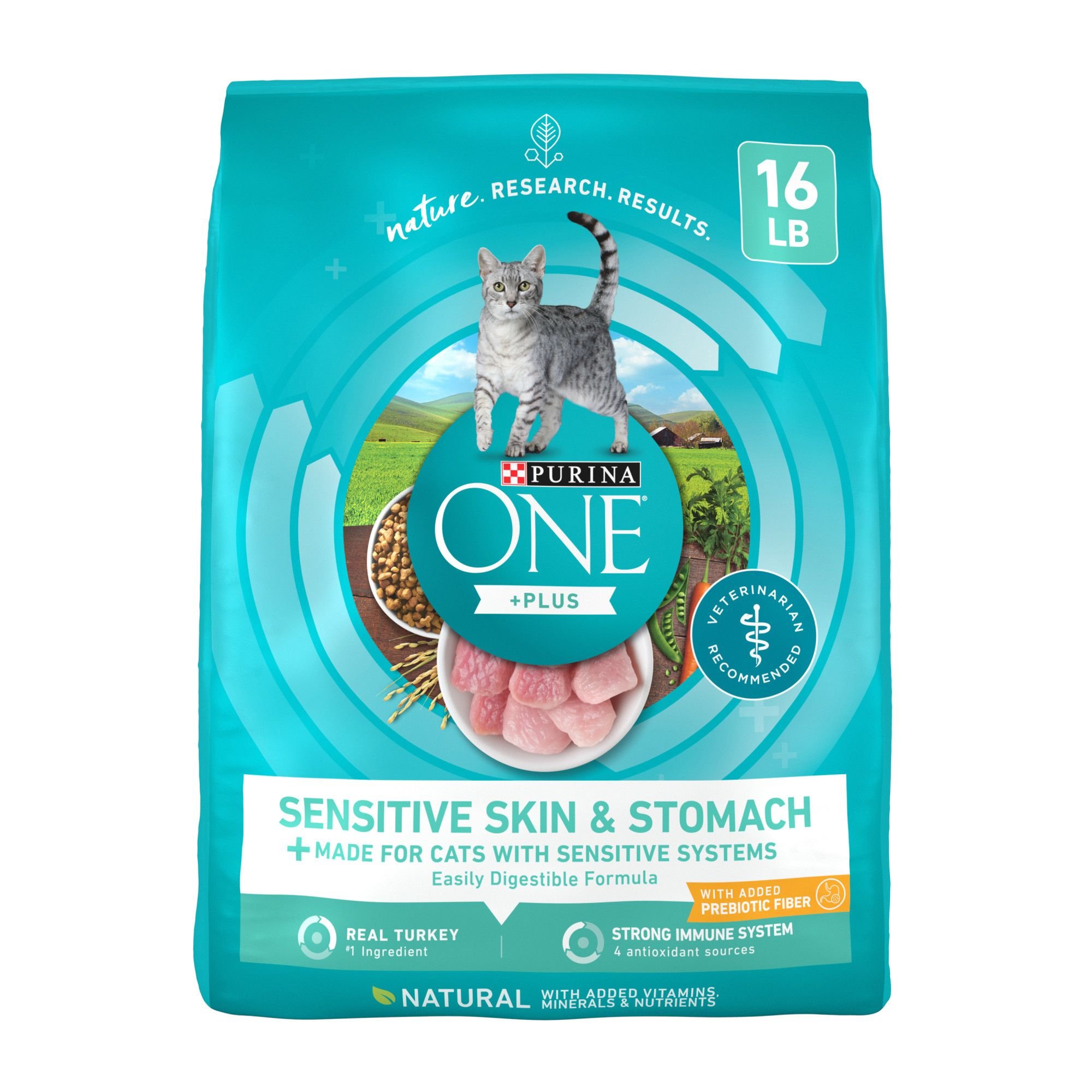 PURINA ONE Plus Sensitive Skin Stomach Natural Adult Dry Cat