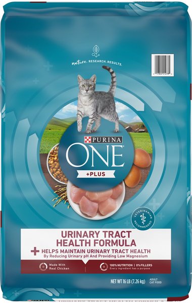 Purina ONE +Plus Urinary Tract Health Formula High Protein Adult Dry Cat Food, 16-lb bag slide 1 of 11