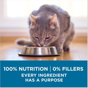 Purina ONE Indoor Advantage Senior 7+ High Protein Natural Dry Cat Food, 7-lb bag