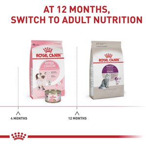 Royal Canin Feline Health Nutrition Sensitive Digestion Adult Dry Cat Food, 7-lb bag