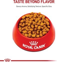 Royal Canin Breed Health Nutrition Shih Tzu Adult Dry Dog Food, 10-lb bag slide 2 of 8