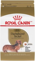 Royal Canin Breed Health Nutrition Dachshund Adult Dry Dog Food, 10-lb bag