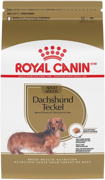 royal canin miniature dachshund puppy food