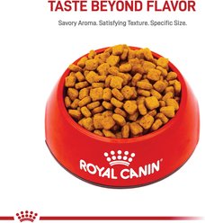 Royal Canin Breed Health Nutrition Dachshund Adult Dry Dog Food, 10-lb bag slide 2 of 8