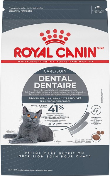 Een nacht Welkom dam ROYAL CANIN Feline Care Nutrition Dental Care Dry Cat Food, 6-lb bag -  Chewy.com
