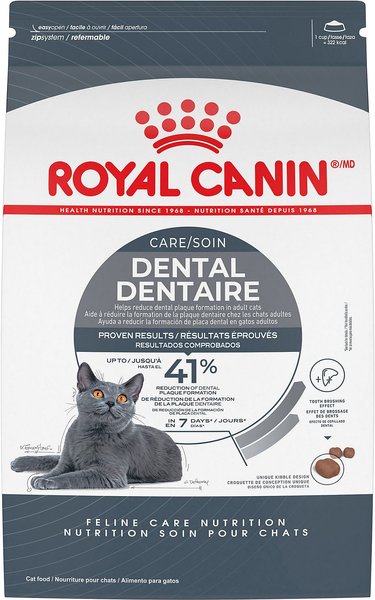 ROYAL CANIN Feline Care Nutrition Dental Care Dry Cat Food 6 lb