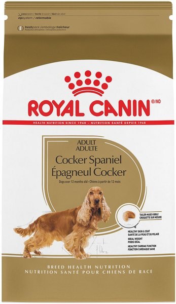 Royal Canin Breed Health Nutrition Cocker Spaniel Adult Dry Dog Food, 6-lb bag slide 1 of 8
