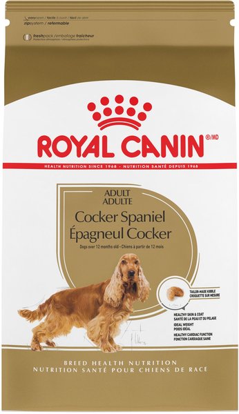 Royal Canin Breed Health Nutrition Cocker Spaniel Adult Dry Dog Food, 25-lb bag slide 1 of 8