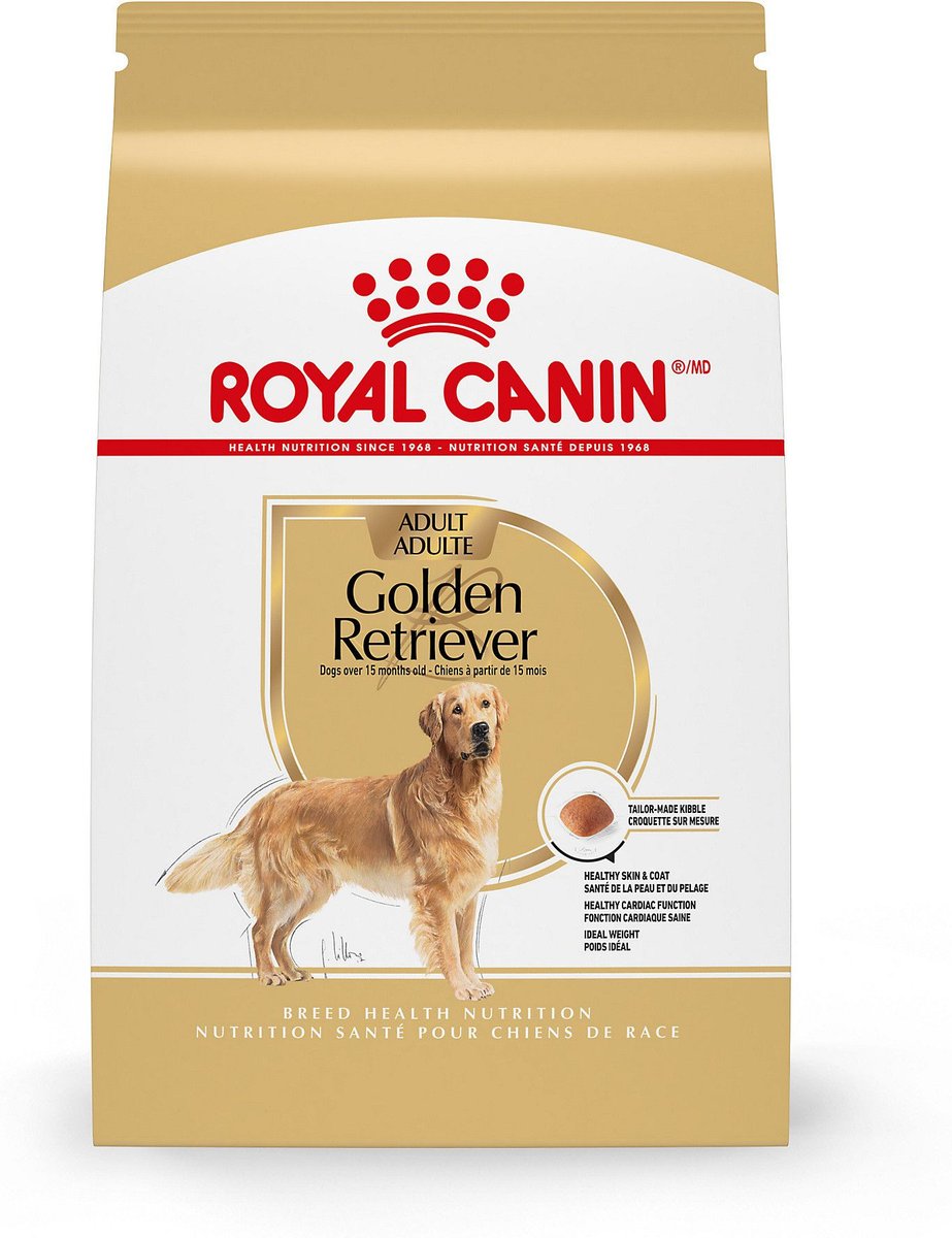 Taurine shop golden retriever