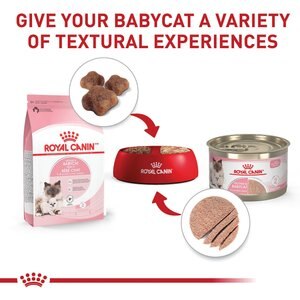 Royal Canin Feline Health Nutrition Mother & Babycat Ultra Soft Mousse in Sauce Canned Cat Food, 3-oz, case of 24