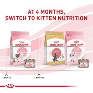Royal Canin Feline Health Nutrition Mother & Babycat Ultra Soft Mousse in Sauce Canned Cat Food, 3-oz, case of 24