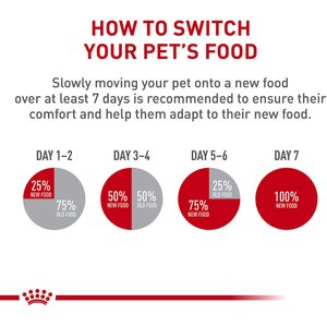 Royal Canin Feline Health Nutrition Mother & Babycat Ultra Soft Mousse in Sauce Canned Cat Food, 3-oz, case of 24