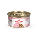 Royal Canin Feline Health Nutrition Kitten Thin Slices in Gravy Canned Cat Food, 3-oz, case of 24