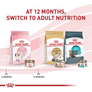 Royal Canin Feline Health Nutrition Thin Slices in Gravy Wet Kitten Food, 3-oz can, case of 24