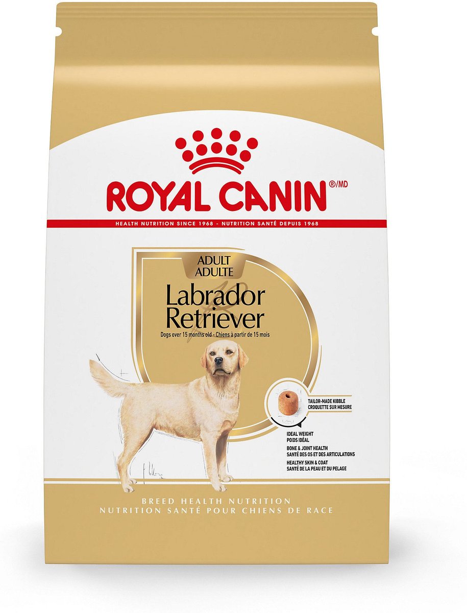 Royal canin labrador feeding guide sale