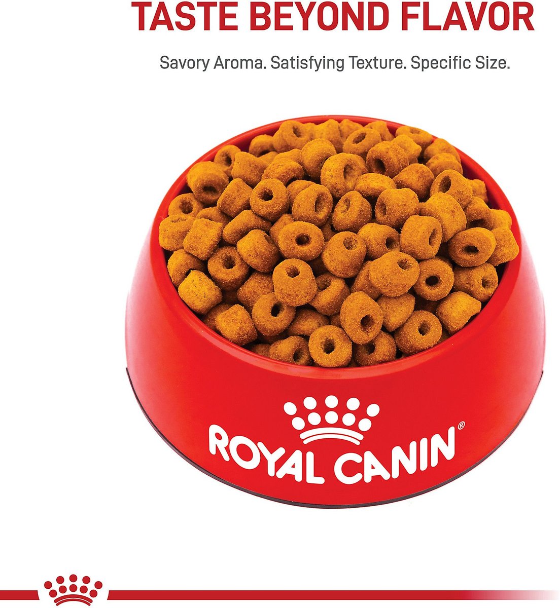 Royal canin 2024 labrador 30 lb