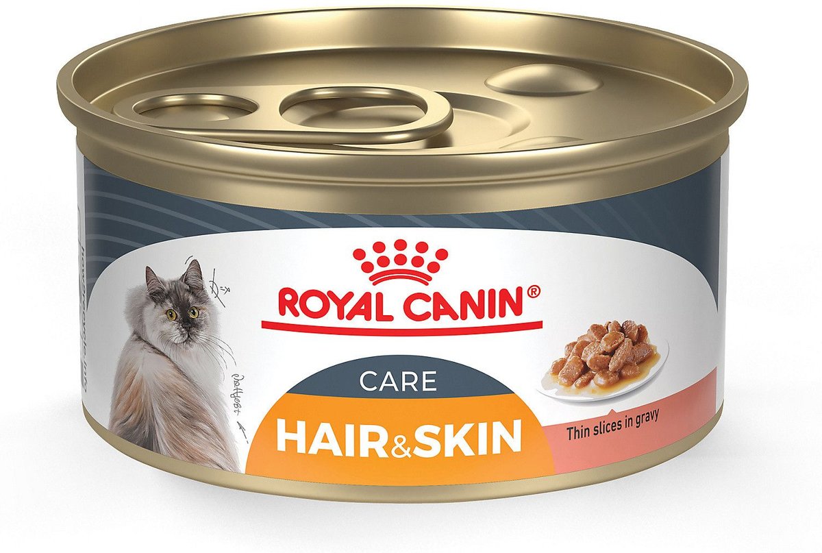 Royal canin kitten thin slices sale in gravy