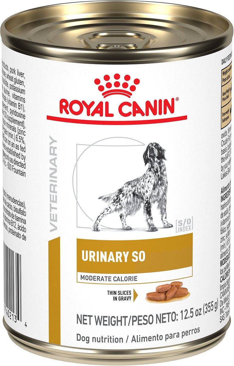 Royal canin so morsels hotsell in gravy