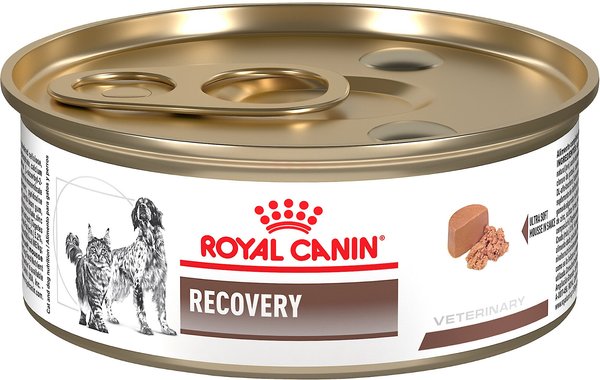 ROYAL CANIN VETERINARY DIET Recovery RS Canned Dog & Cat Food, 5.8-oz ...