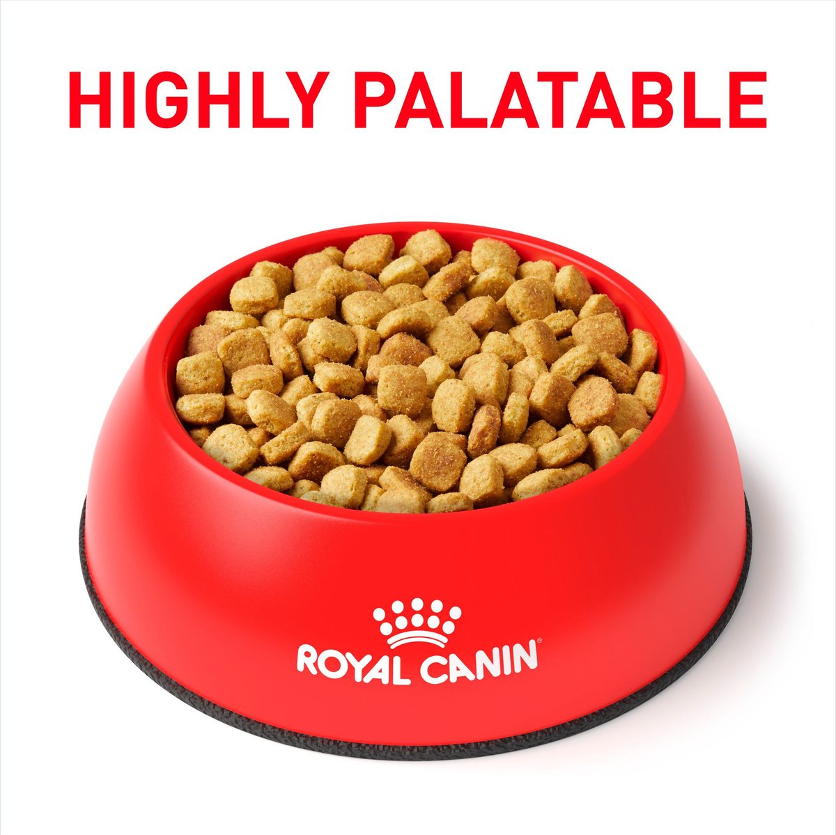 Chewy royal hotsell canin hp