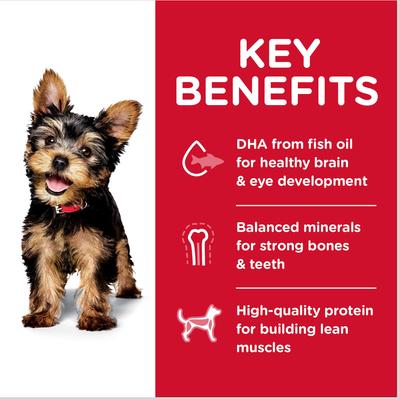 Show full view: Hill's Science Diet Puppy Small Paws Chicken Meal, Barley & Brown Rice Dry Dog Food, 15.5-lb bag slide 7 of 14