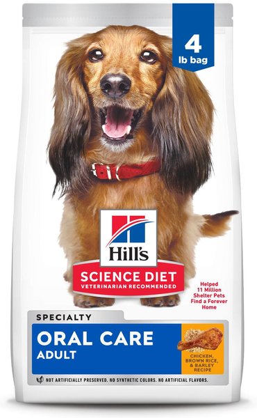 Fashion hill's dental care chews