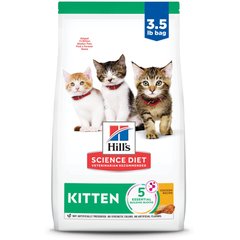 Kitten food intake best sale