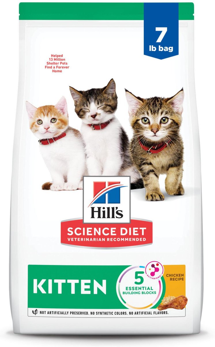 Hill's science hot sale kitten wet food