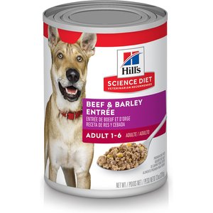 Hill's Science Diet Adult Beef & Barley Entree Canned Dog Food, 13-oz, case of 12