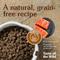 Show in main carousel: Taste of the Wild Pacific Stream Grain-Free Dry Dog Food, 30-lb bag slide 5 of 10