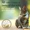 Show in main carousel: Taste of the Wild Canyon River Grain-Free Dry Cat Food, 15-lb bag slide 5 of 9