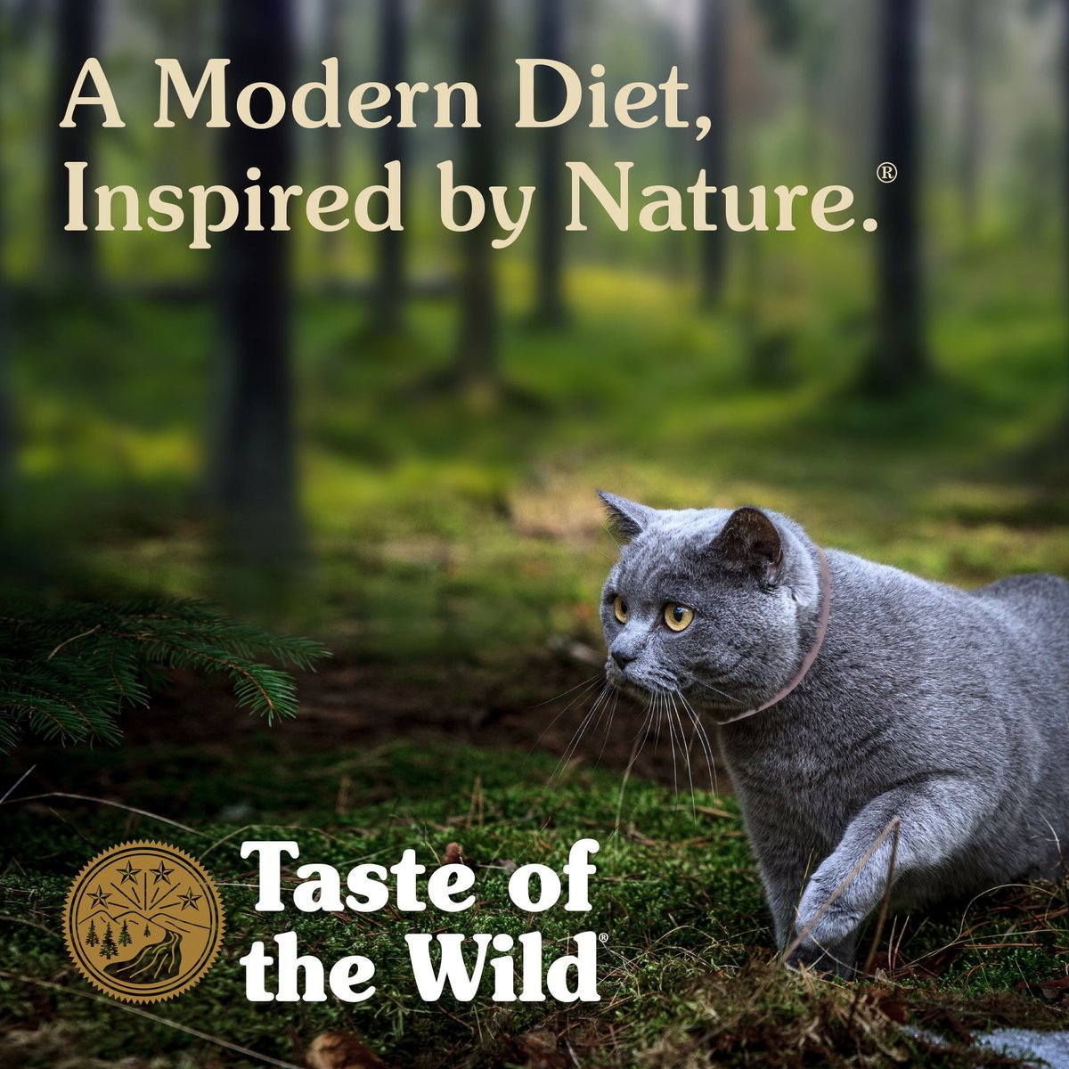 Chewy taste of the hotsell wild cat